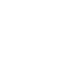 ce logo Wichita