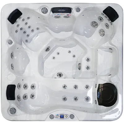 Avalon EC-849L hot tubs for sale in Wichita